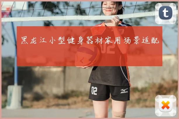 黑龙江小型健身器材家用场景适配