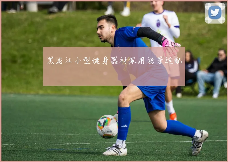 黑龙江小型健身器材家用场景适配