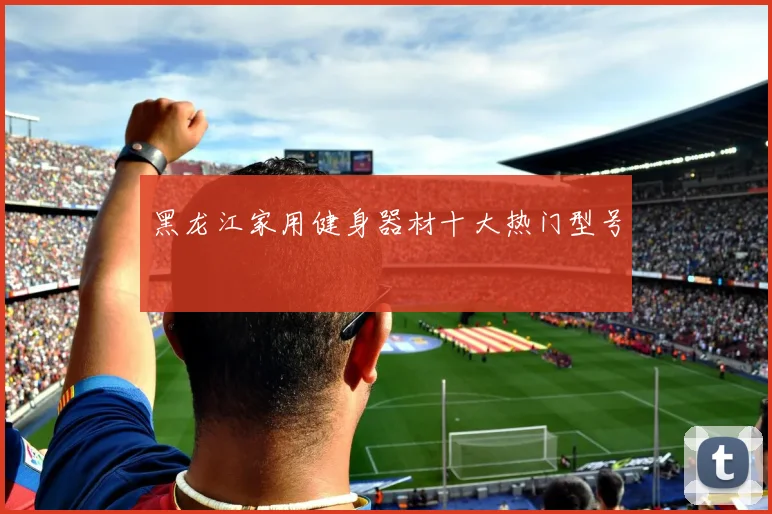 黑龙江家用健身器材十大热门型号