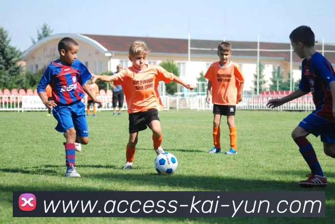 多媒体互动体验