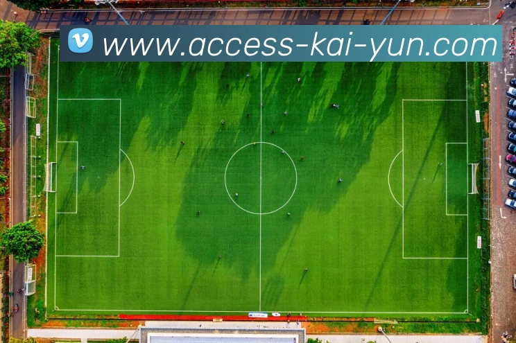 开云APP 体育赛事宣传图